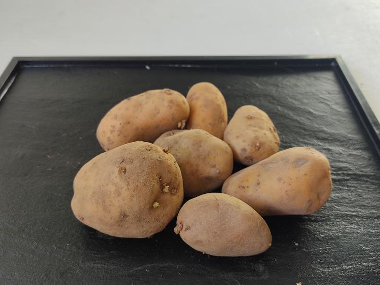 Pommes de terre ferme de sous la ville par 500gr