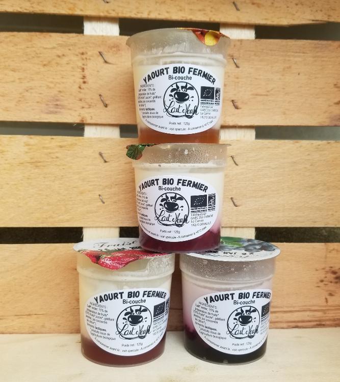 Lot ASSORTIMENT de 4 yaourts aux fruits BIO - Fraise, Framboise, Abricot, Myrtille - pots de 125g - GAEC du Carroir