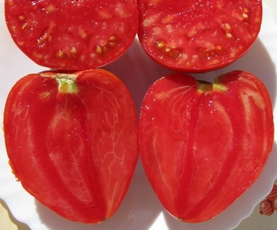 Tomates Coeur de Boeuf