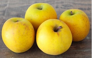 Pommes BIO - Délis d'or - 4kg
