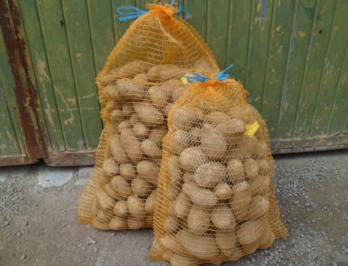 Pommes de terre en filet de 5kg à chair ferme