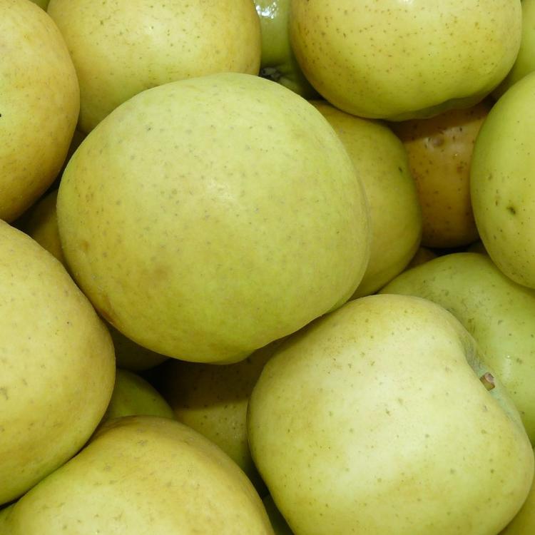 Pommes BELCHARD CHANTECLERC - calibre 115/150 -  1kg