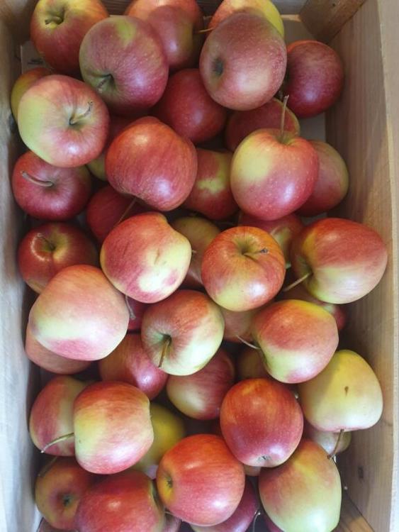 Pommes PINOVA - calibre 115/150 -  1kg