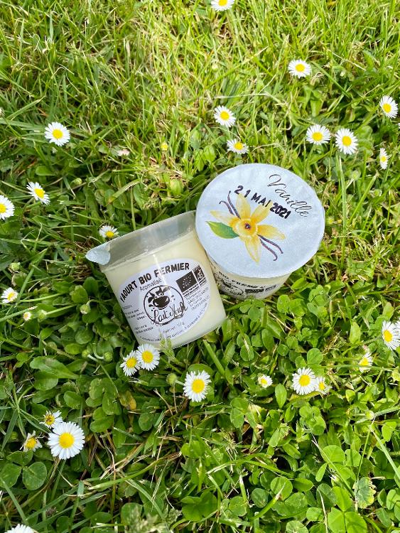 Lot assortiment 4 yaourts arômes BIO -  2 Fraise, 2 Framboise - pots de 125g - GAEC du Carroir