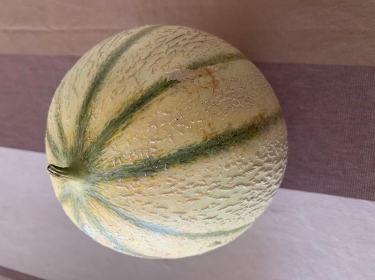 Melon Bio de Kembs