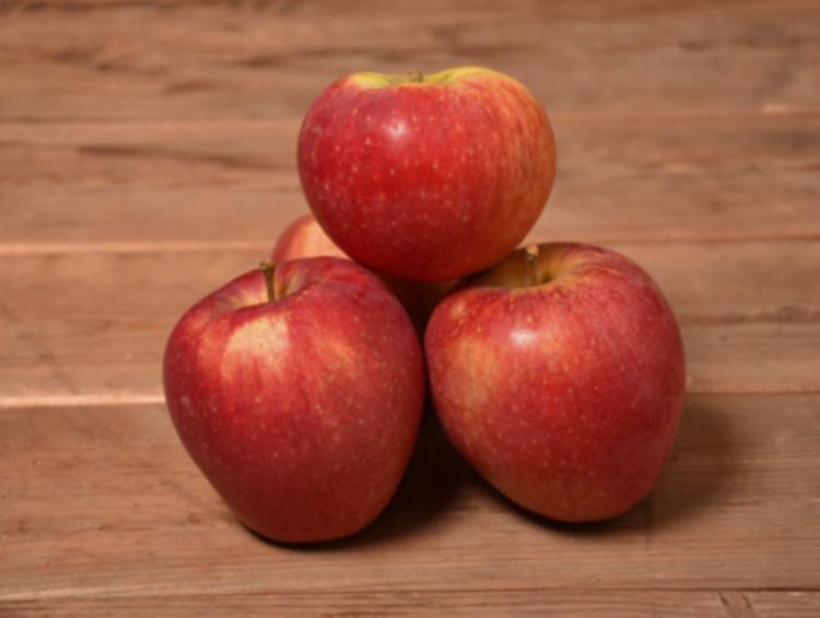 Pommes Galant (verger de Mathilde)