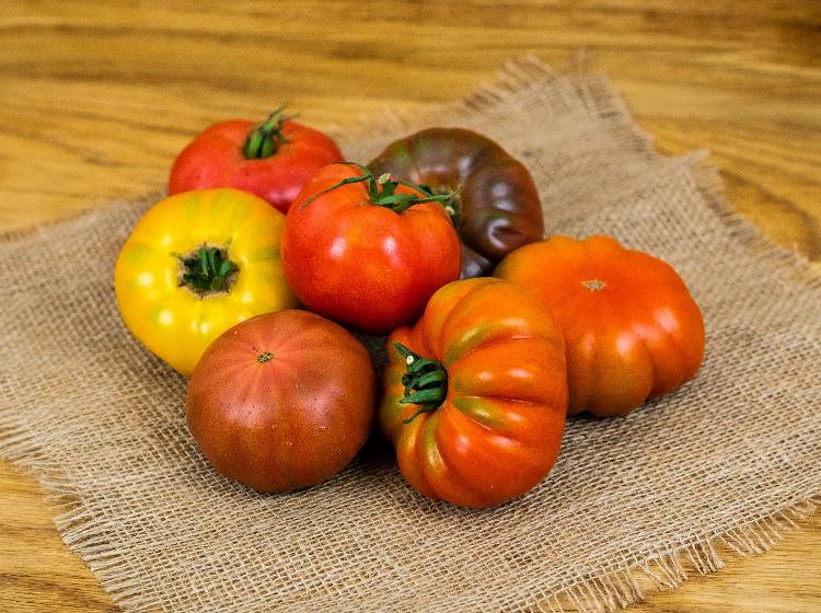 Tomates Charnue Mix (BIOLAND Fleischtomaten Mix)