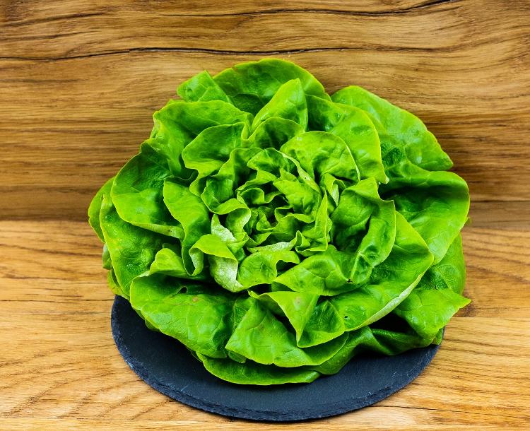 Salade Laitue pommée verte (BIOLAND Kopfsalat grün)