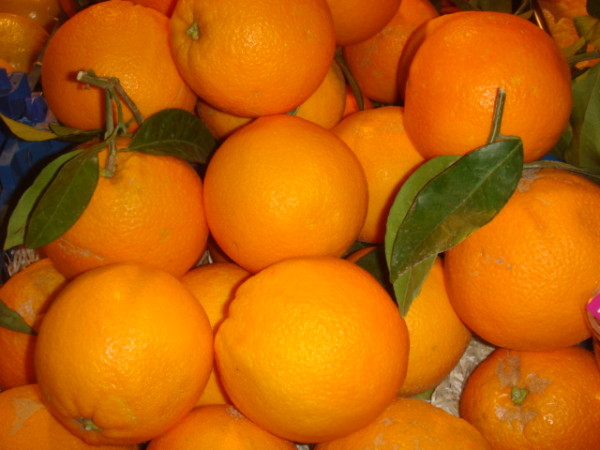 Orange Ovale Calabrese