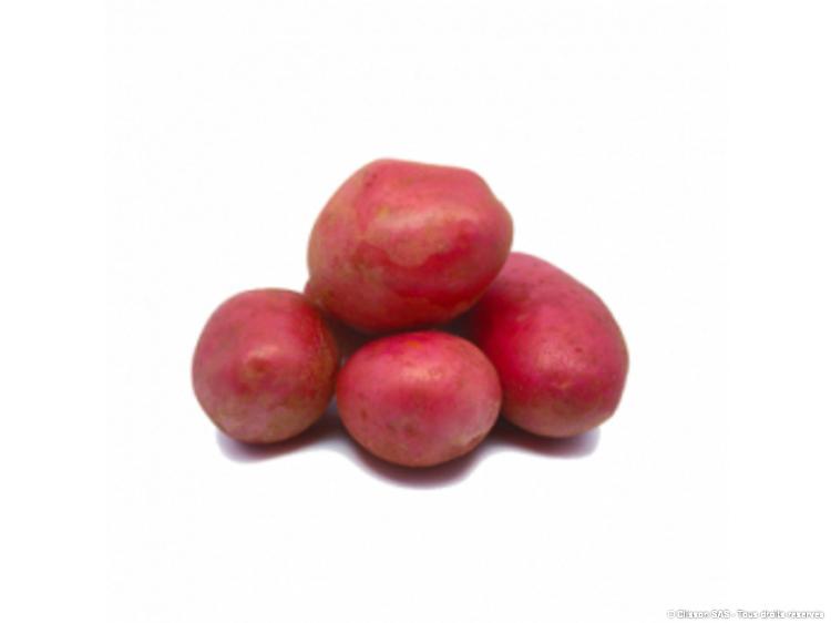 Pomme de terre Alouette