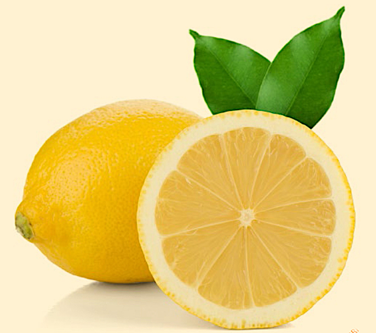 Citrons de la variété  Verna Rodrejos