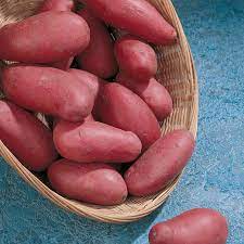 Pommes de terre désirée (rose à chair blanche)