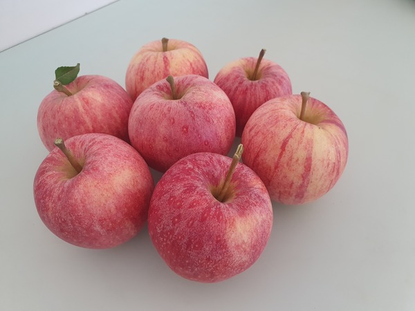 Pommes Fugi