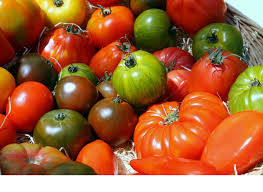 Tomates variées