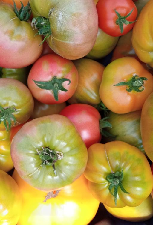 Tomates ancienne - 500g