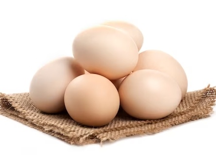 12 œufs BIO - Élevage de plein air