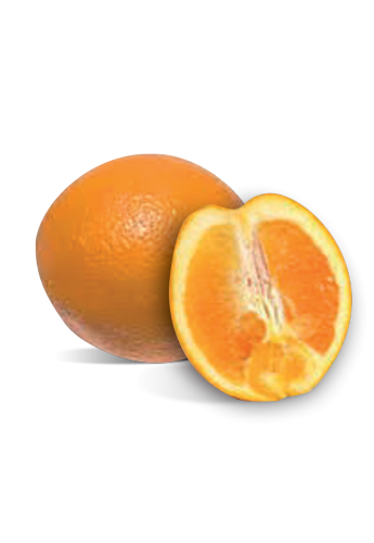 Orange Bio Espagne - 1Kg