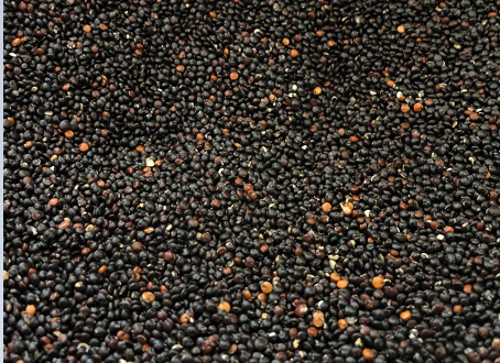 Quinoa noir 500g