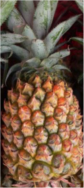 Ananas Cayenne lisse du Cameroun ou du Togo (sous réserve d'arrivage) (au poids)