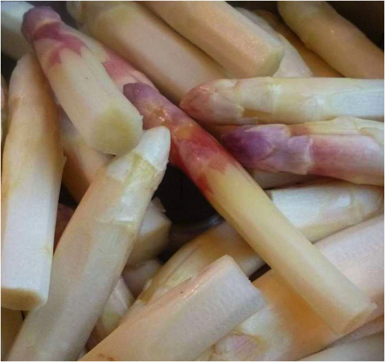 Asperges blanches pointes 500g