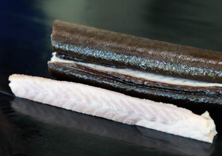 Anguille sauvage fumée en filet (pêche France) (poids livré à réajuster)