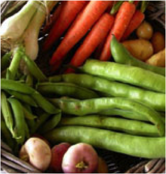 Légumes de saison pour les PANIERS SOLIDAIRES