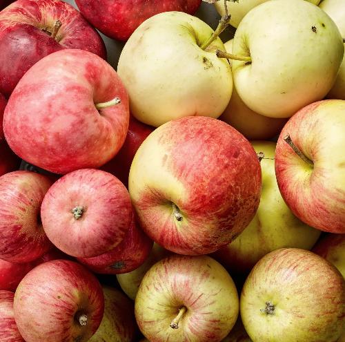 Mélange pommes pour compote