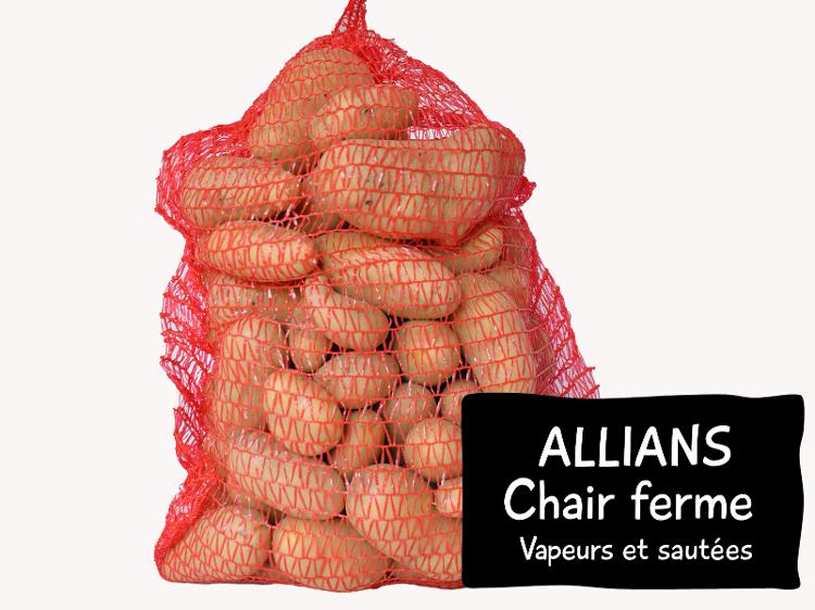 Patates ALLIANS 12kg - Chair jaune assez surcée, plutôt ferme mais polyvalente