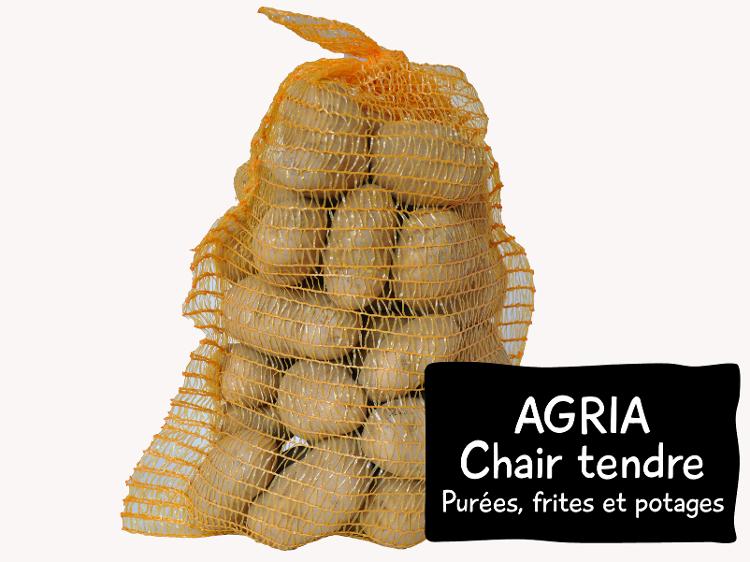 PROMO Patates AGRIA Chair tendre : purée, soupe, frites!!! cagette 12kg