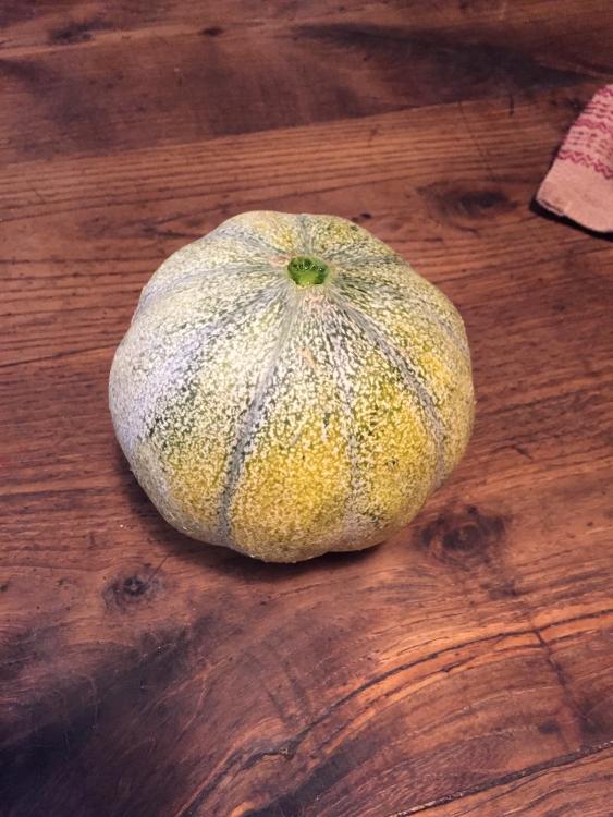 Sachet de semence de Melon petit gris de Rennes