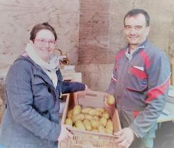 Pommes de terre BIO DECLASSEES 10 kg Mélange de variétés