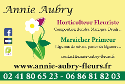 Bouquet De Reine-Marguerite