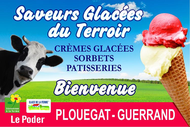 Crème glacée Noisette' (500g)