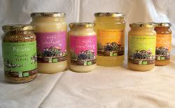 miel  de Chartreuse 500g