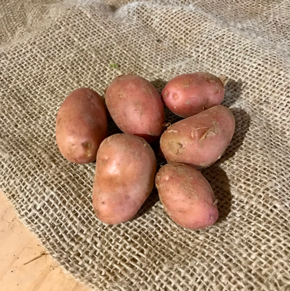 Pommes de terre primeur Jeannette 1kg