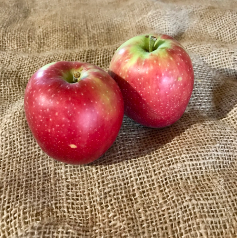 Pommes bio variété diverse