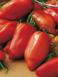 Tomates Andine Cornue bio 1kg