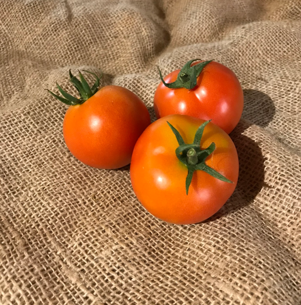 Tomates rondes bio 1kg