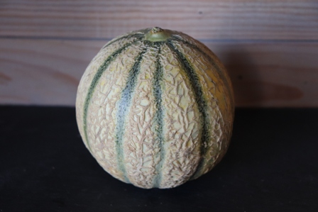 Melon env 1kg