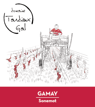 GAMAY Touraine rouge