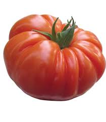 Tomate à farçir