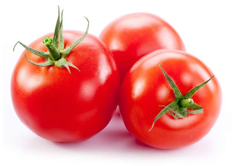 Tomates rondes - La Plaine Maraichère