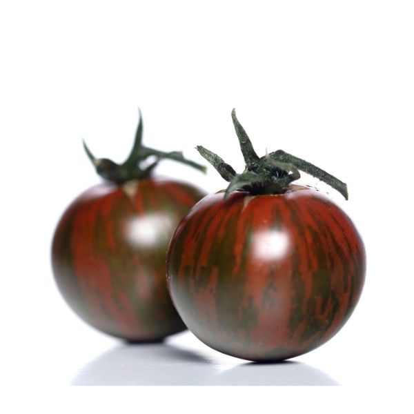 Tomates cerises black cherry