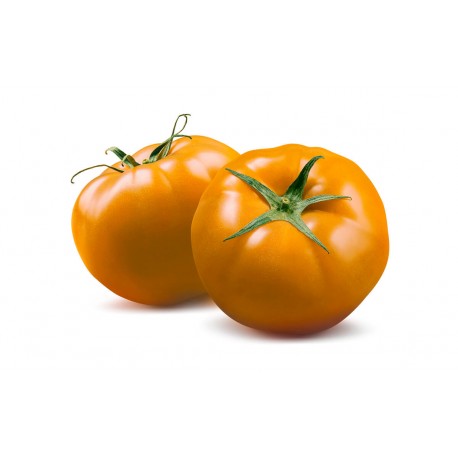 Tomates orange queen