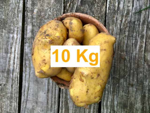 10kg de pommes de terre chair Ferme