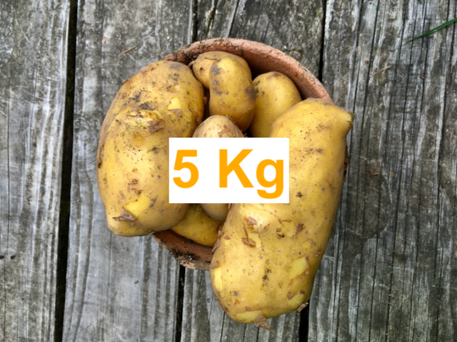 5kg Pommes de terre conservation chair ferme