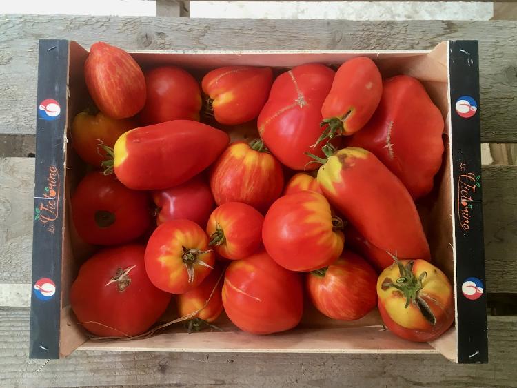 Tomates déclassées coulis 5kg