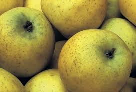 Pommes Chantecler - Origine FRANCE (11)