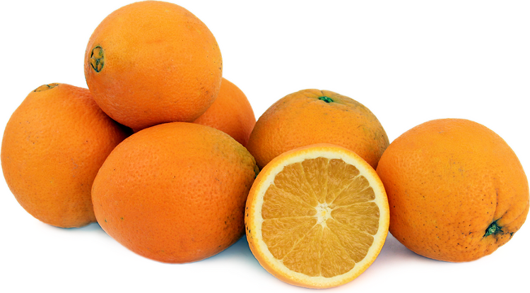 Oranges Navelina - de bouche et à jus - Origine ESPAGNE (MURCIA)
