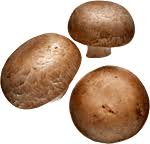 Champignons de paris bruns - 250g - Origine FRANCE (31)